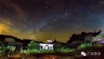 一张乡村夜晚星空的照片,宁静而美丽
