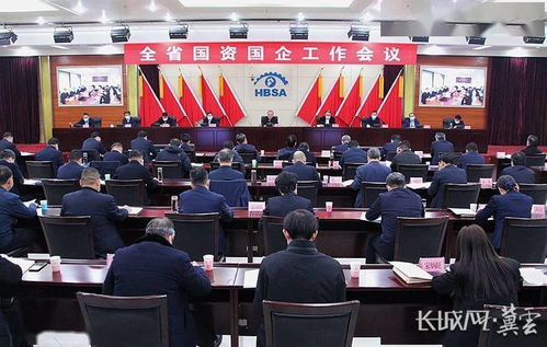 国企掌门人盲目决策致数亿损失：四川一案引发深思