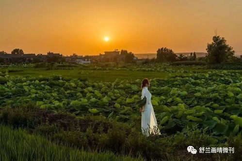 一个人走在夕阳下的小路上