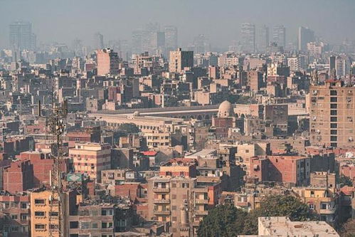 哈马斯愿释放人质寻求5年停火，背后故事令人深思