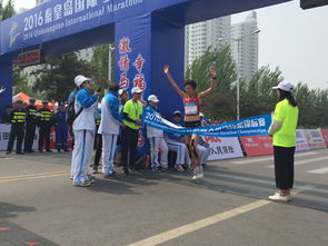 志愿者工作场景