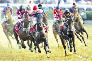 德加的赛马场景