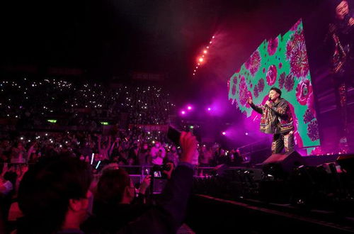 刀郎演唱会泪洒现场，歌迷用爱回应他的深情