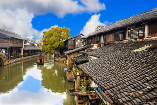 摄影构图的艺术：统一与变化的完美结合