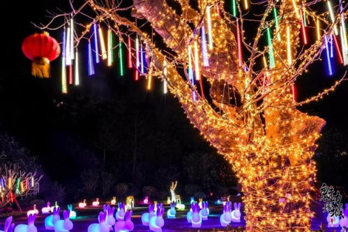 夜幕降临灯光照亮集会