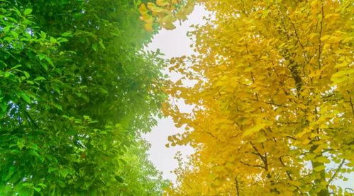 一抹夕阳映红天际