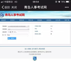 六百万粉丝网红「迅猛龙特蕾莎」考上复旦MBA，她的故事值得每个人深思