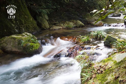 漫随流水的日子：一场心灵的治愈之旅