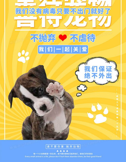 善待动物宣传海报