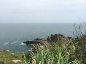 一片宁静的海滩