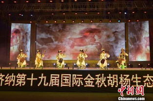 胡杨文化节现场