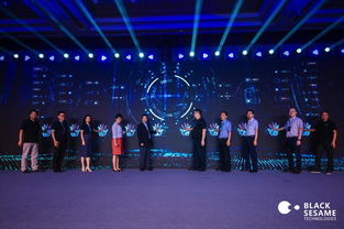 英特尔与黑芝麻智能联手，智驾芯片的未来已来