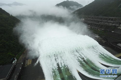 泄洪风波：一场信息不对称的灾难