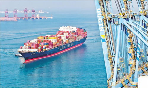 港口繁忙作业场景