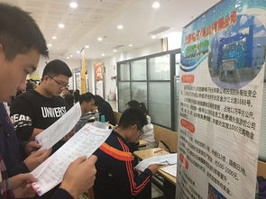 17条政策助力青年就业创业，未来可期！