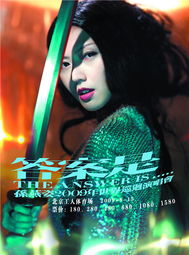 孙燕姿经典演唱会海报