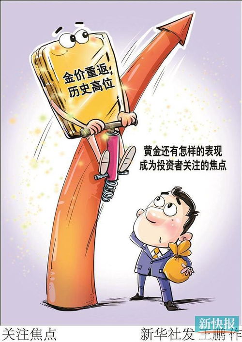 投资者关注金价