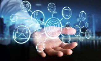 未来展望概念图