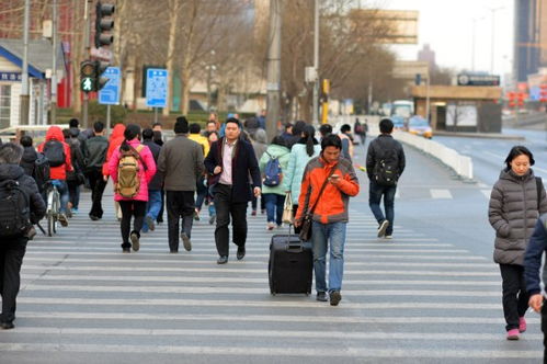 当苹果闹钟遇上调休：一个普通人的周日早晨