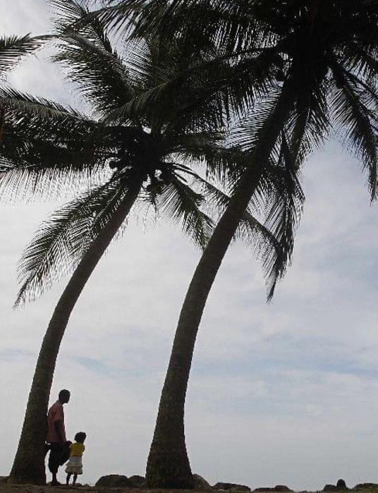 感动人心的画面