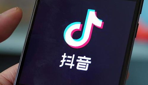 2024中国网络法治发展报告发布：抖音如何助力社会进步