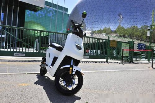 小牛电动车实拍