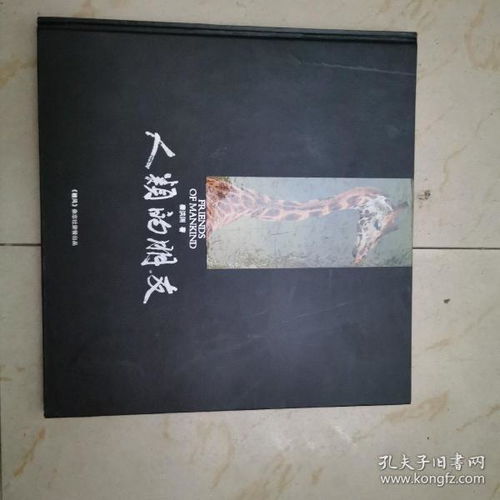 昏暗灯光下翻阅书籍的手