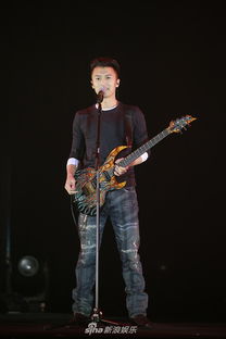 谢霆锋舞台演出照片