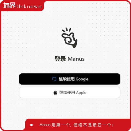 Manus产品界面截图