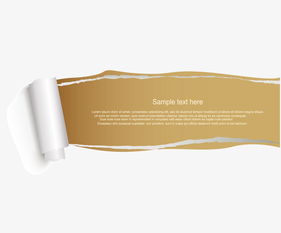 香料包装英文标签