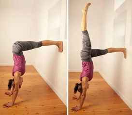 手倒立动作分解图