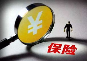 保险合同细节图示例