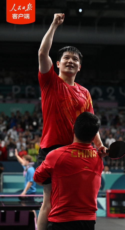 樊振东王曼昱盛李豪受表彰：体育精神的荣耀时刻