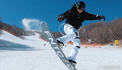 谢霆锋滑雪照片