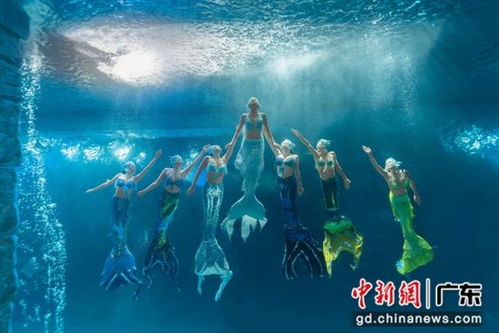 “美人鱼”演员溺水事件真相大揭秘