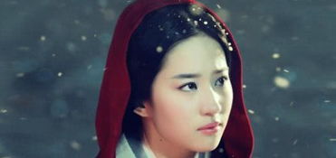 刘亦菲舞台风采