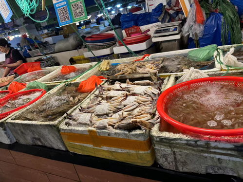 海鲜市场摊位