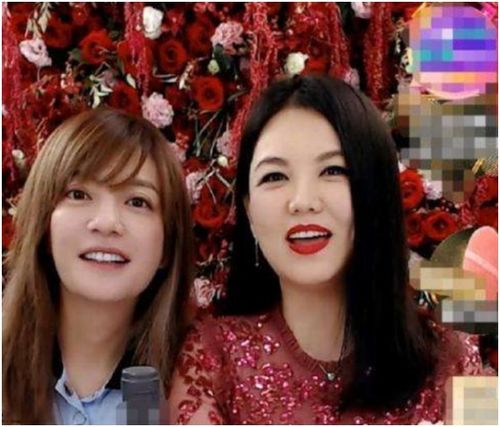 曾毅周奇首映礼突闯飞猪直播间，背后故事竟是这样！