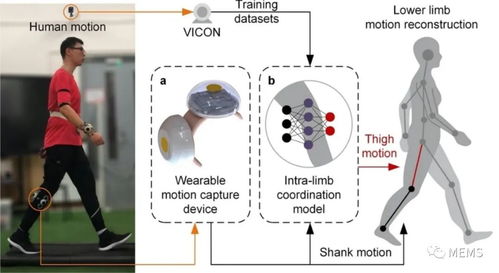 触觉感知技术的实际应用场景示意图