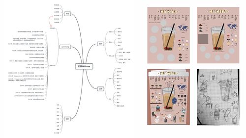 HPV相关科普图表