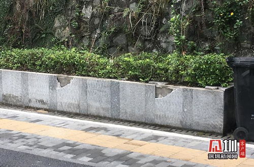 女子赤脚踏入万年晶花池拍照：美丽背后的责任与反思