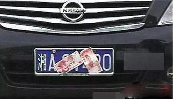 网友热议公务车遮挡车牌