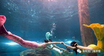 太原溺水“美人鱼”已出ICU：低血糖引发的惊魂一刻