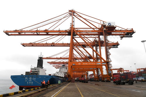 港口内繁忙的货运场景