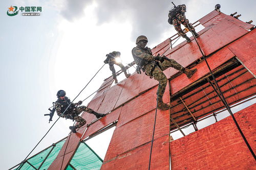 军事合作现场图片