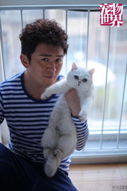 张译与猫互动的温馨场景