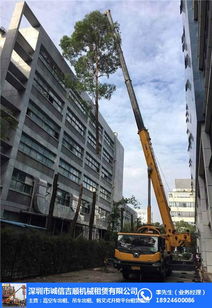 23层楼高吊车倾倒男子侥幸逃生：惊魂一刻背后的故事