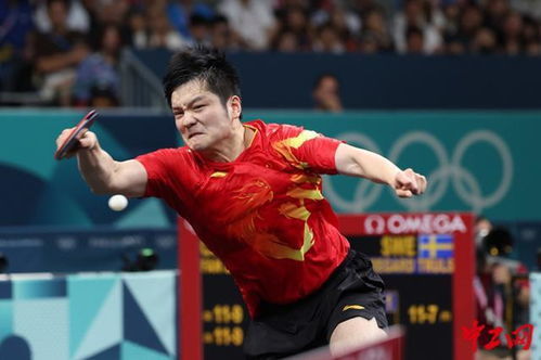 马龙与樊振东合影