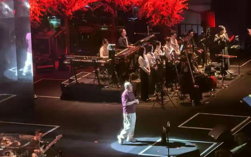 刀郎深圳演唱会哽咽致谢，背后的故事让人泪目