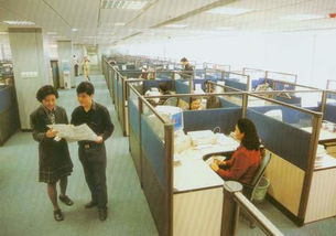 深圳翻译公司：从中标信息到外贸解决方案的深度解析